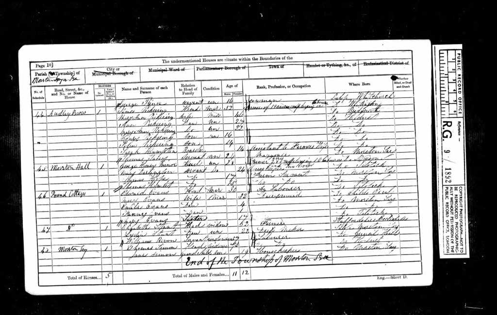 Mary Ann Pickering age 22 - the fifth row from the top - on the 1861 Census